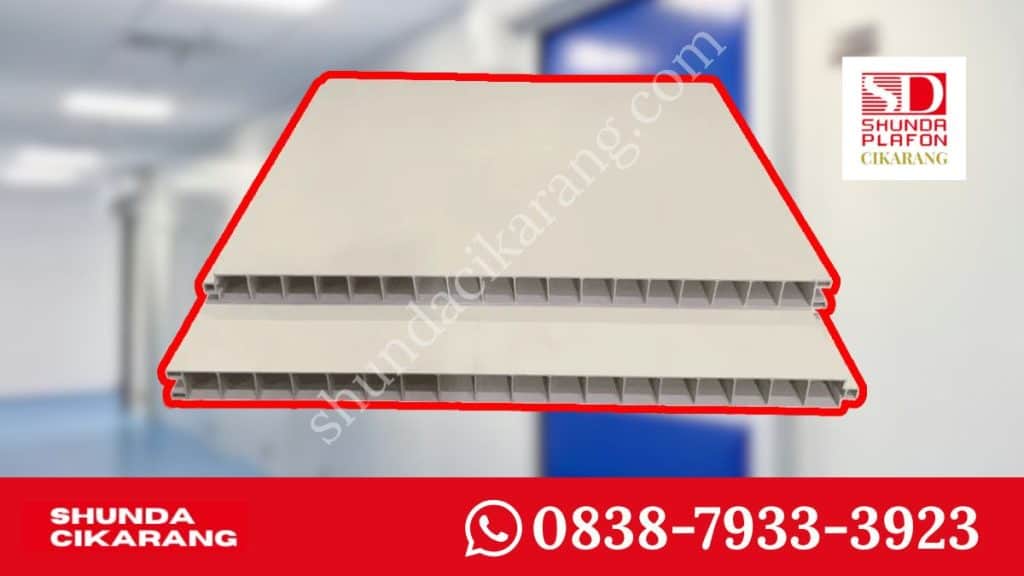 Pembatas Ruangan bahan PVC, atau disebut juga sebagai Partisi Dinding Bersih, Solusi Partisi Dinding Hemat Biaya yang Modern